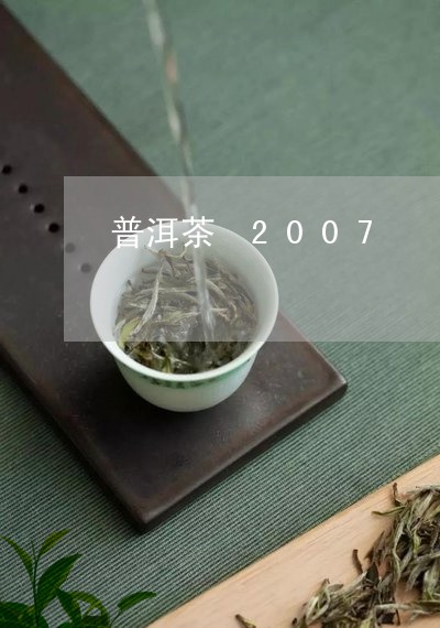 普洱茶 2007/2023041209470